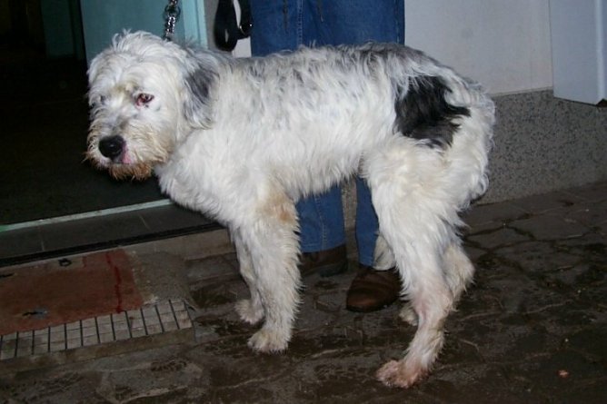 Gefunden (Foto: nnz)