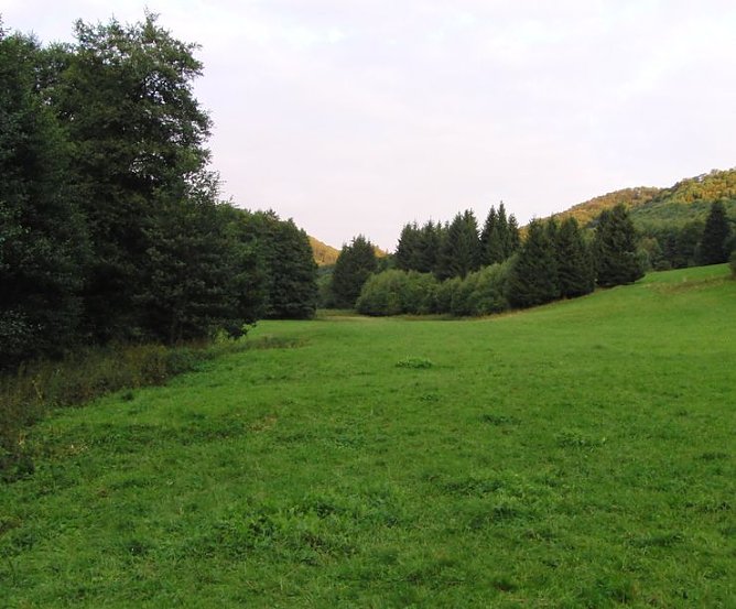 Brandesbachtal (Foto: B. Schwarzberg)