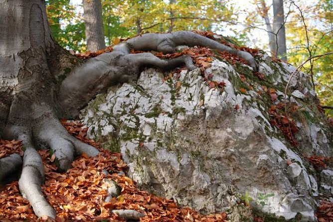 s&uuml;dharz (Foto: s&uuml;dharz)