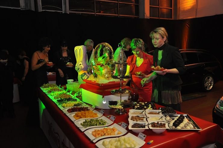 Fr&uuml;hlingsball 2011