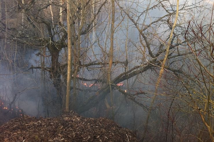 Fl&auml;chenbrand oberhalb von Niedersachswerfen