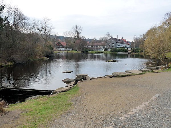 Farbtupfer in Braunlage