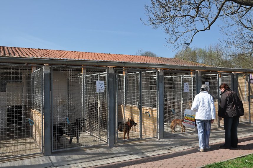 Fr&uuml;hlingsfest im Tierheim Nordhausen