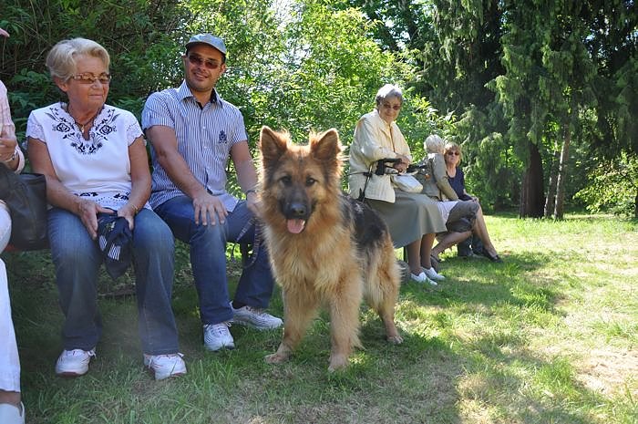 Parkfest im Park Hohenrode