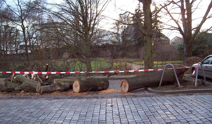 Sch&auml;den in der Promenade