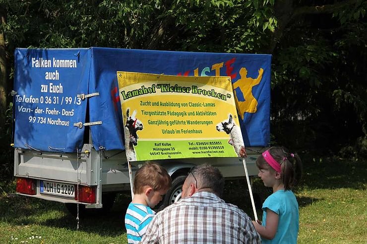 Buntes Treiben bei den Falken