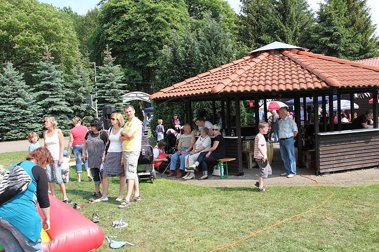 Buntes Treiben bei den Falken