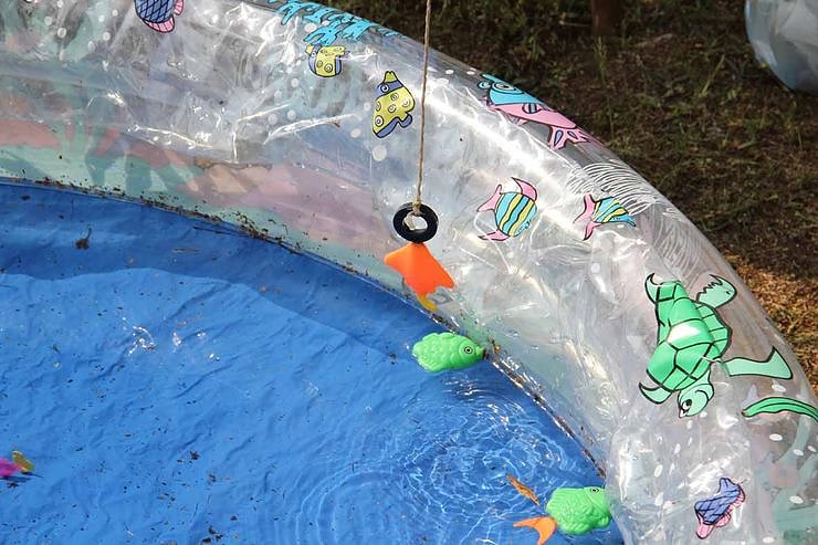 Buntes Treiben bei den Falken