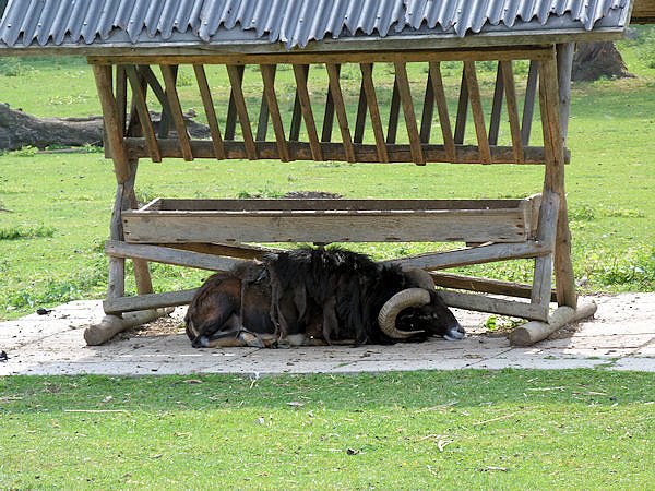 Auf dem Possen bei Sondershausen