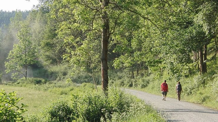 Schwei&szlig; und Gl&uuml;ck