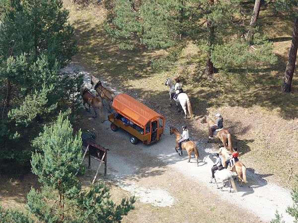 Pfingsten auf Burg Regenstein