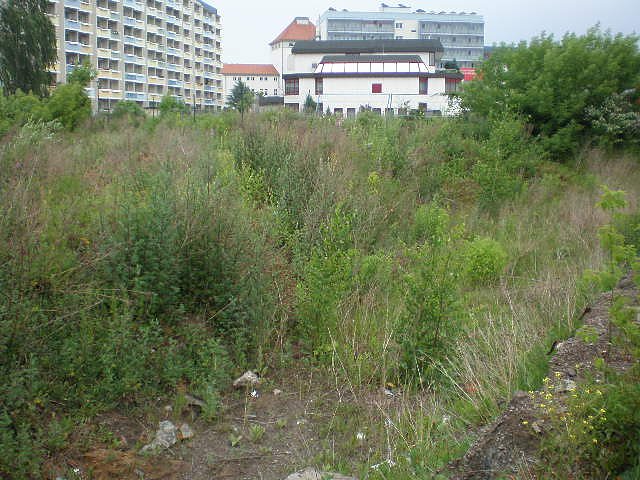 F&auml;r n&uuml;scht