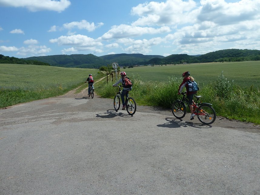Rund um die Verkehrssicherheit
