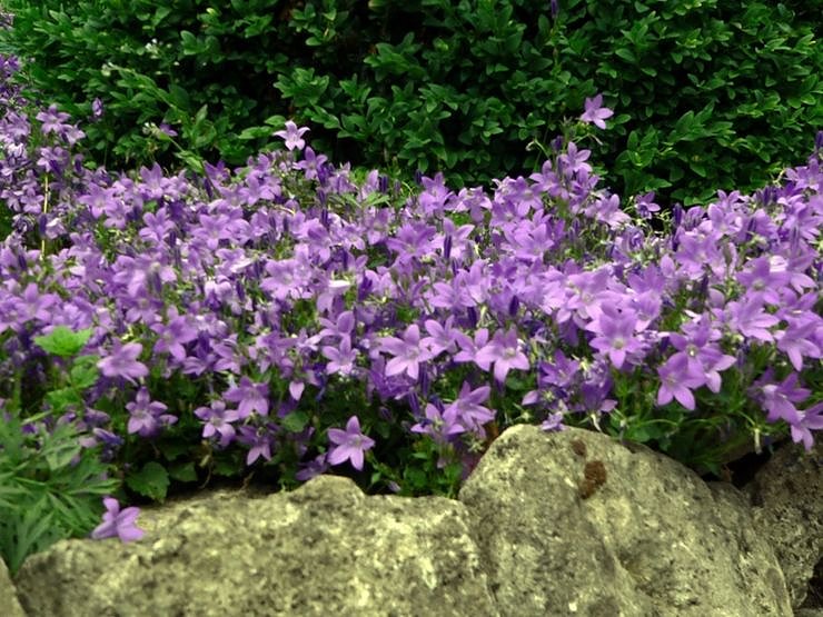 Reden &uuml;ber den Garten