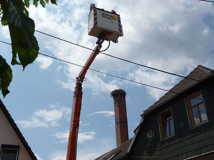 Ringe f&uuml;r junge St&ouml;rche