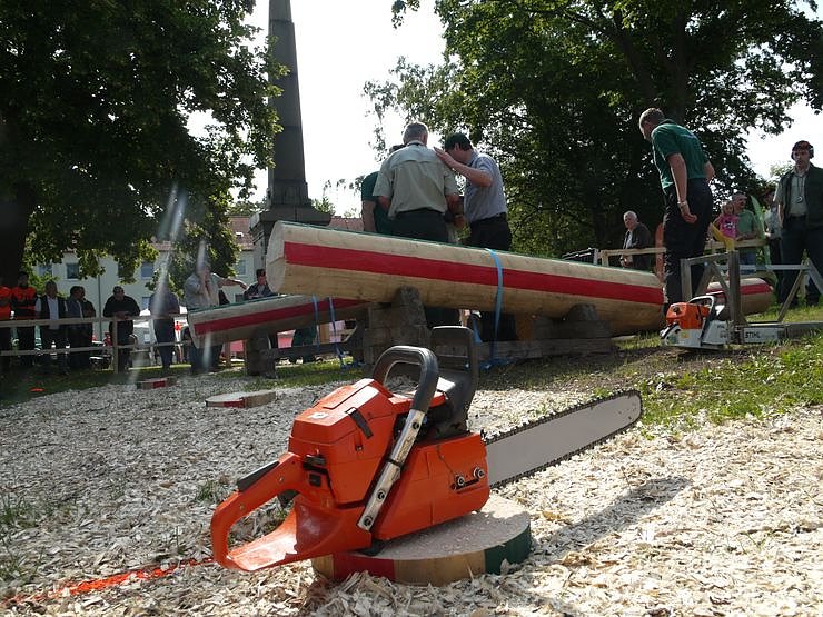 Waldarbeiter suchen ihren Meister