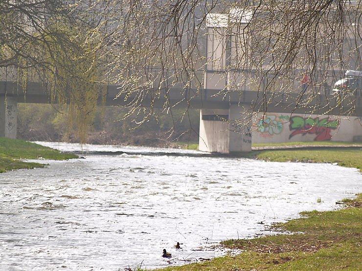Feuerwehr und Polizei suchen nach Vermisster