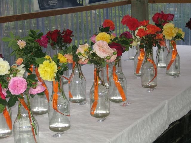 Rosenschautag in Ellrich