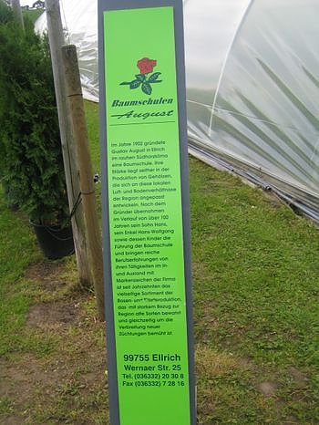 Rosenschautag in Ellrich