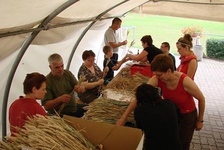 Vorbereitungen laufen