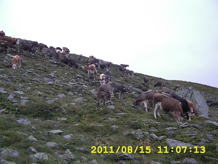 Ausbildung in den Alpen