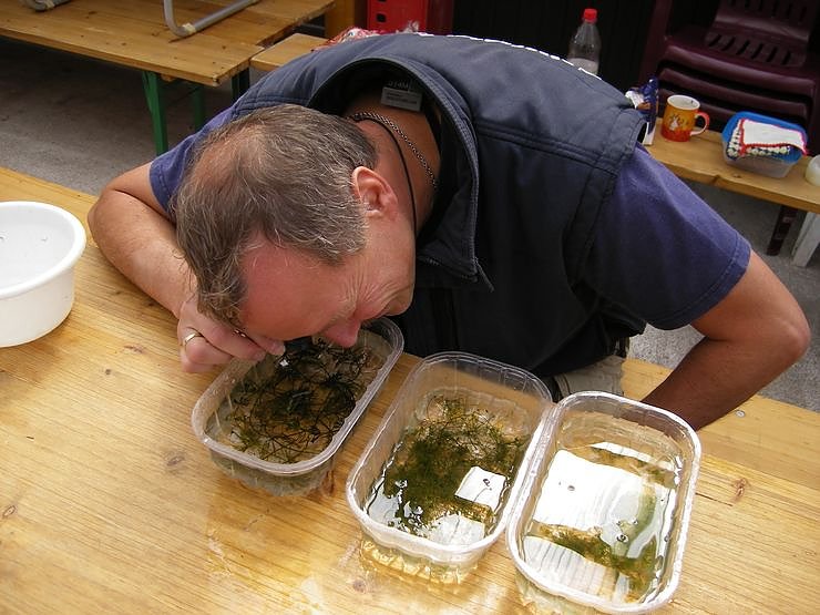 BIONAUT - Mit Stereolupe auf Entdeckung