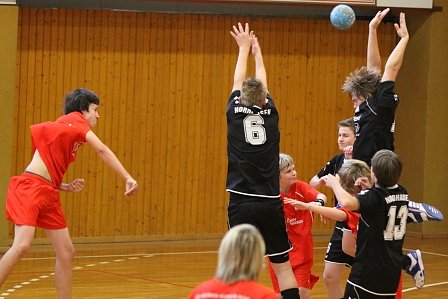 Gelungener Auftakt der Handballer