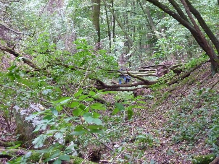 Steigerthaler Wandertag