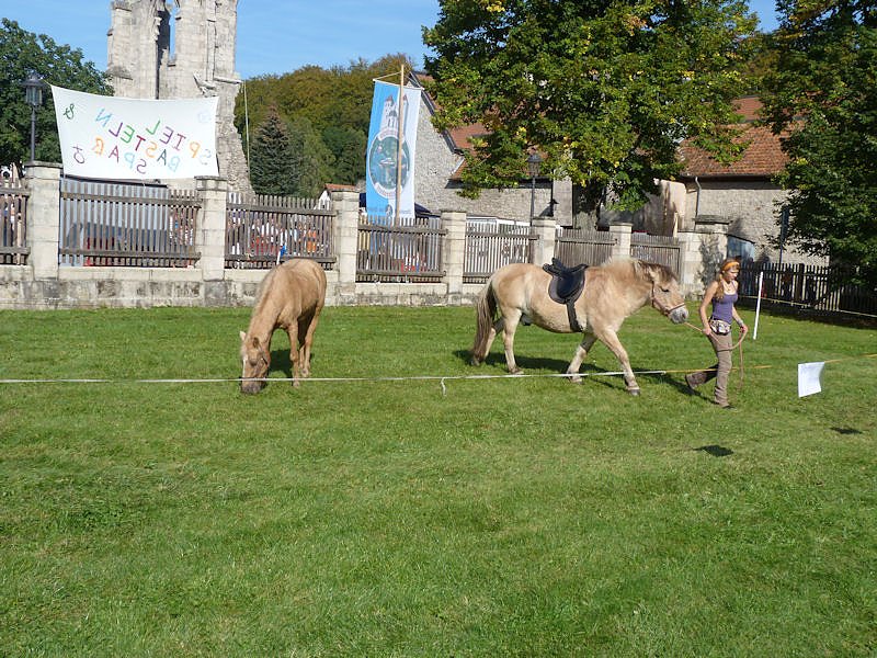 Klostermarkt in Walkenried