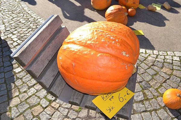 Unterwegs auf dem Markt