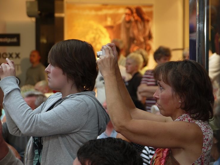 Die Sch&ouml;nsten aus dem S&uuml;dharz