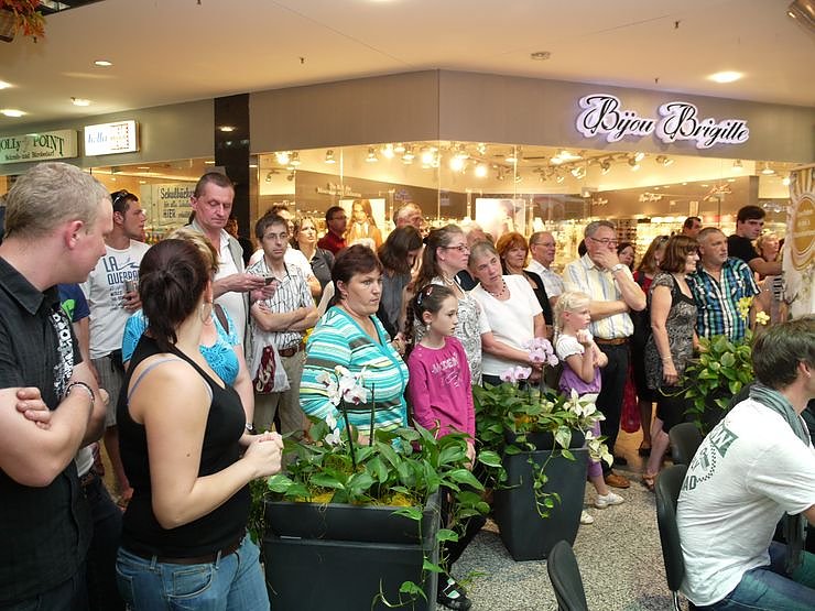 Die Sch&ouml;nsten aus dem S&uuml;dharz