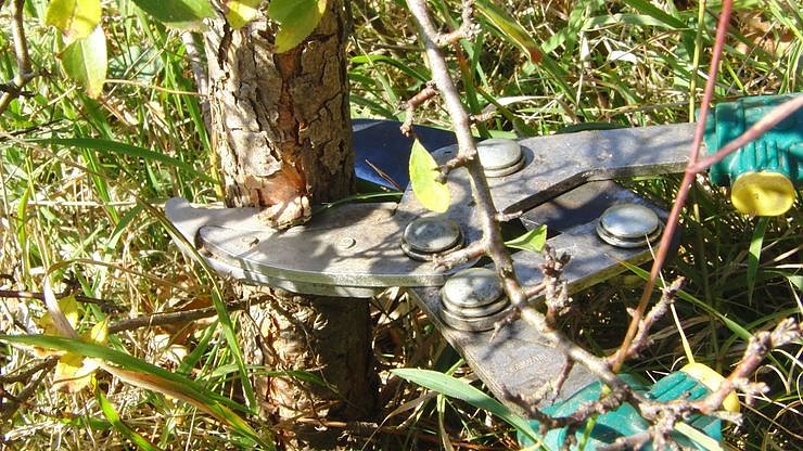 Arbeitseinsatz f&uuml;r die Natur