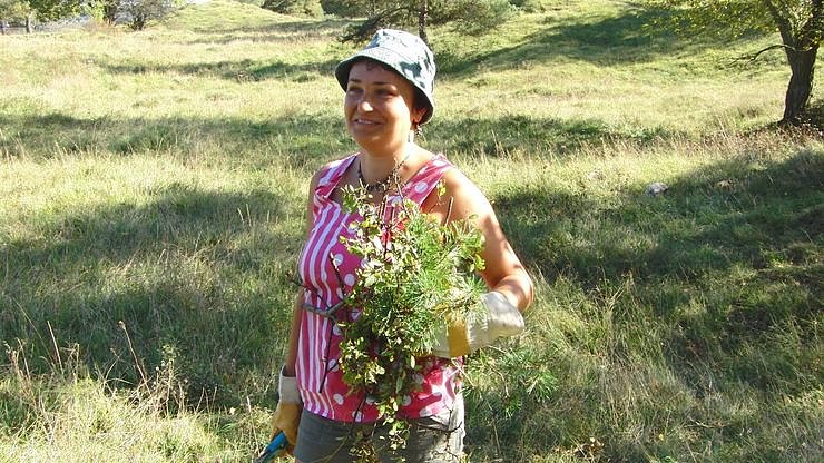 Arbeitseinsatz f&uuml;r die Natur