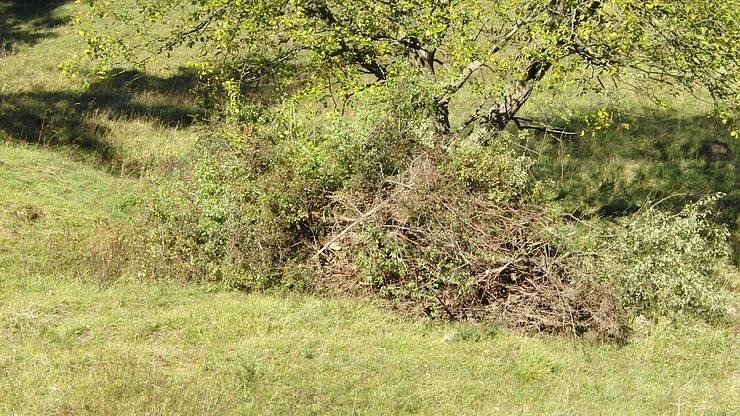 Arbeitseinsatz f&uuml;r die Natur