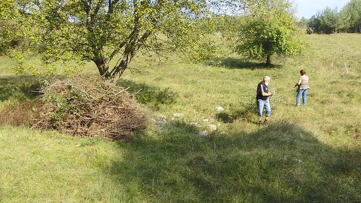 Arbeitseinsatz f&uuml;r die Natur