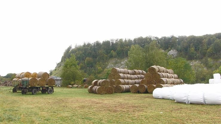 M&uuml;hlberg bei Niedersachswerfen