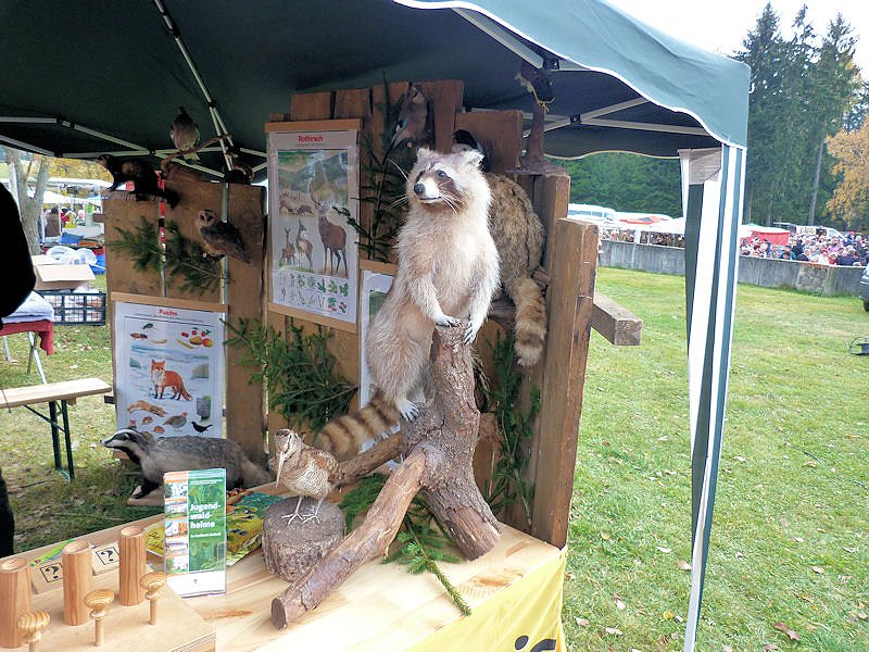 Herbstmarkt in Benneckenstein