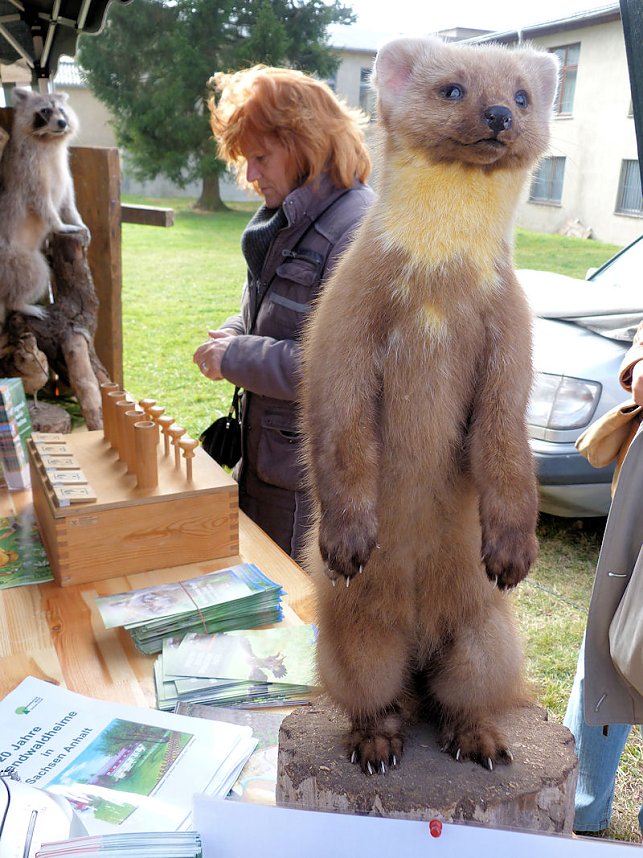 Herbstmarkt in Benneckenstein