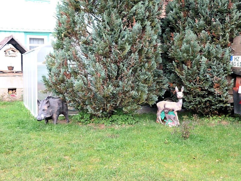 Unterwegs in K&ouml;nigsh&uuml;tte