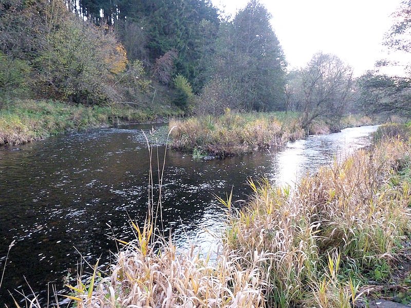 Unterwegs in K&ouml;nigsh&uuml;tte