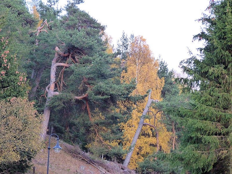 Unterwegs in K&ouml;nigsh&uuml;tte