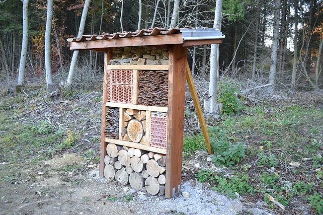 Auf der Burg Hanstein