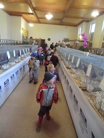 Auf der Suche nach der Martinsgans