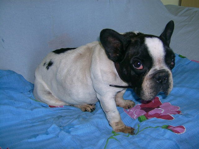 Sweety braucht Hilfe