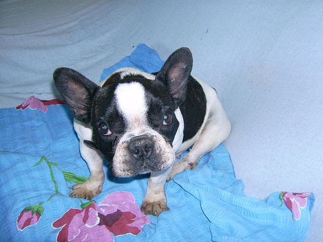 Sweety braucht Hilfe