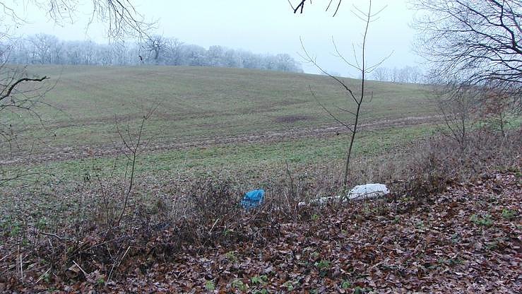 Wilde M&uuml;llkippen