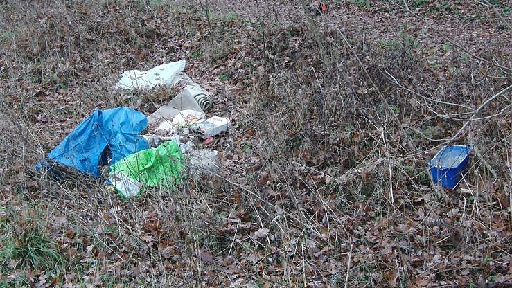 Wilde M&uuml;llkippen