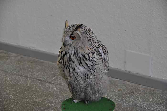 2.Th&uuml;ringer Fototage in Erfurt