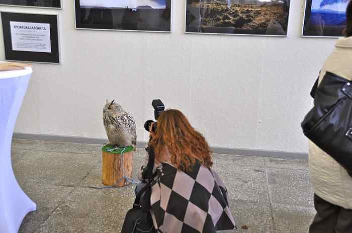 2.Th&uuml;ringer Fototage in Erfurt